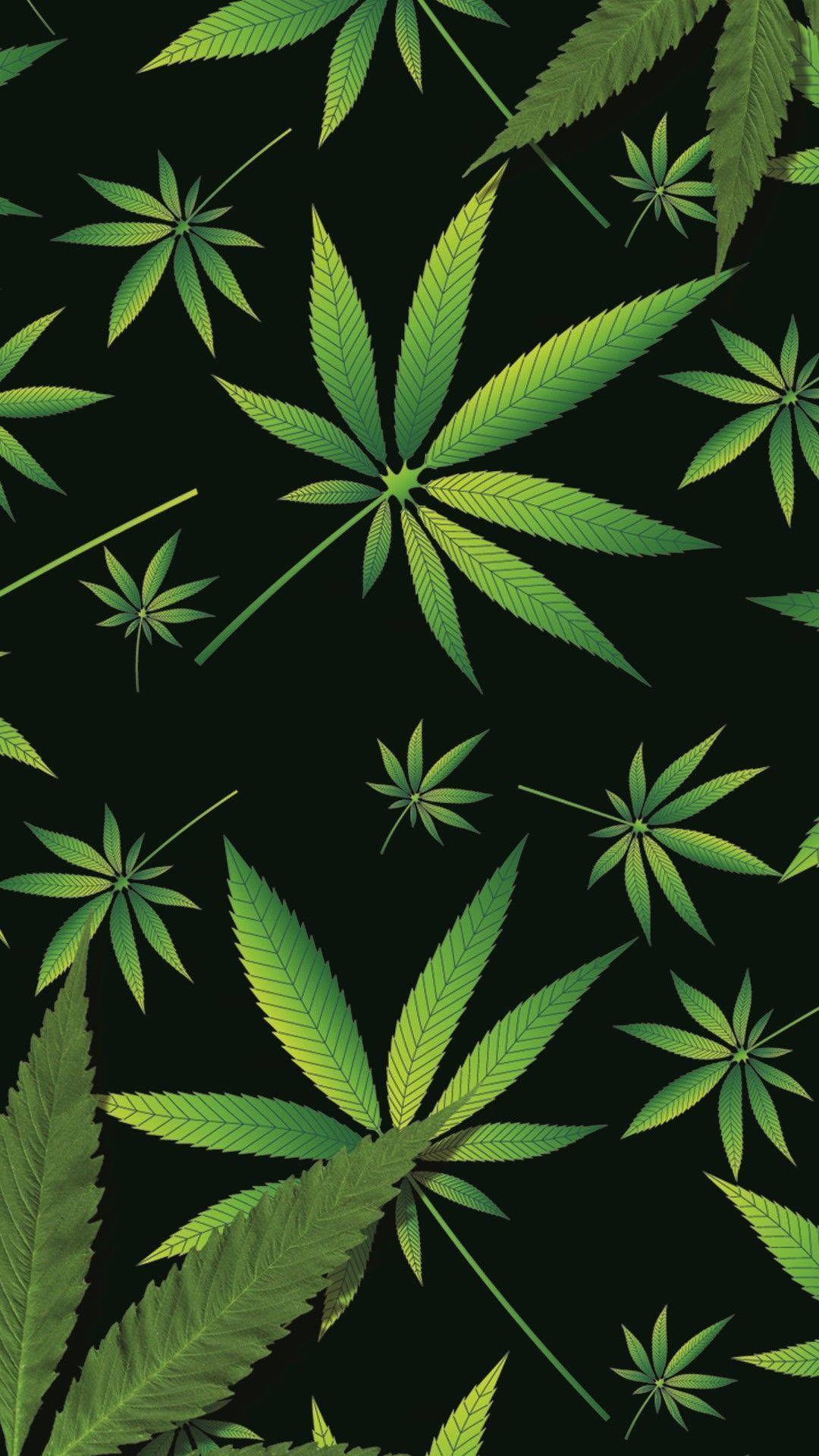 綠色大麻葉在黑色背景上以重複圖案排列。