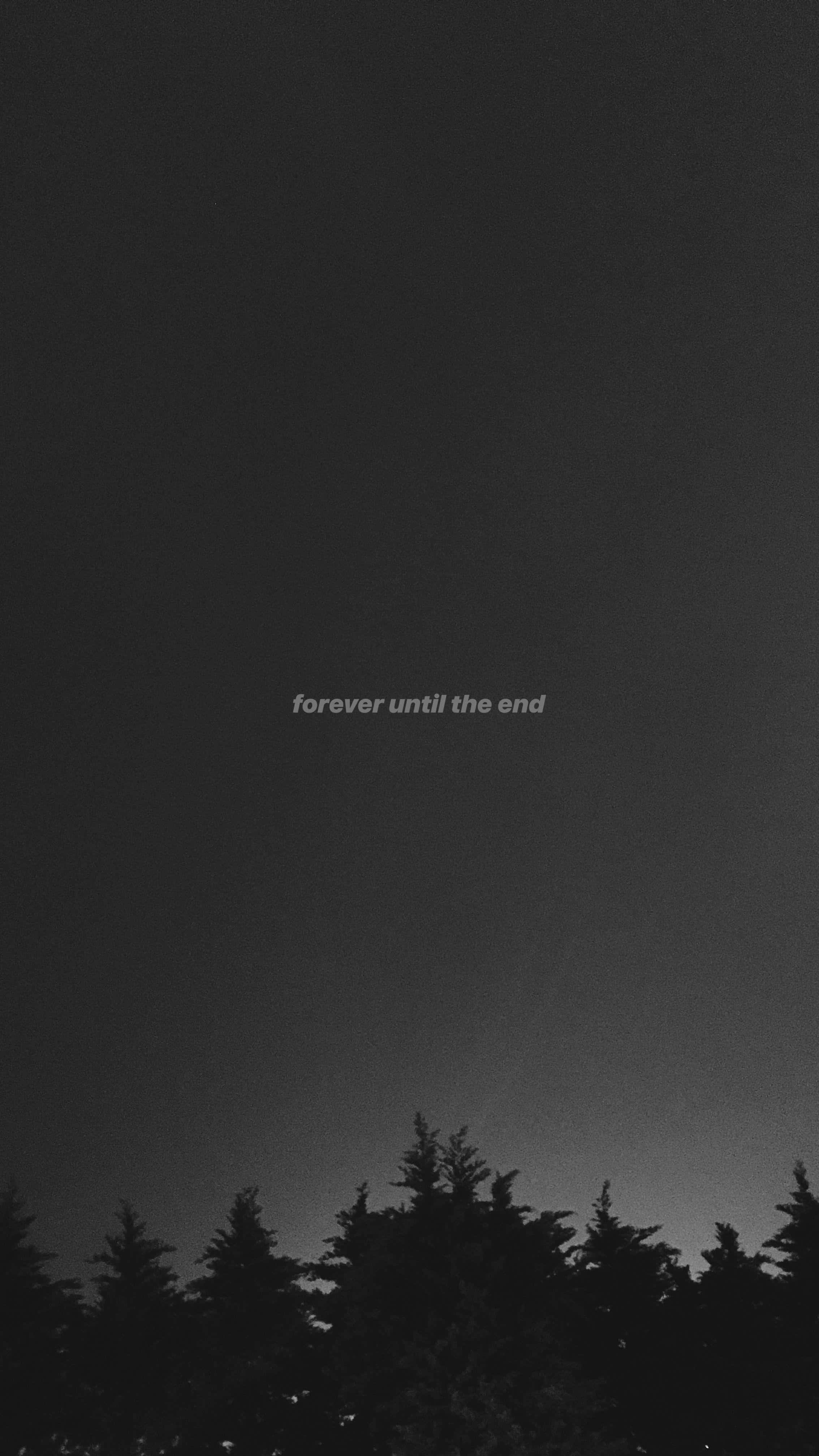 sadness 桌布 壁紙 — 極簡黑白夜空，帶有剪影樹木和微弱文字，寫著永遠直到盡頭。