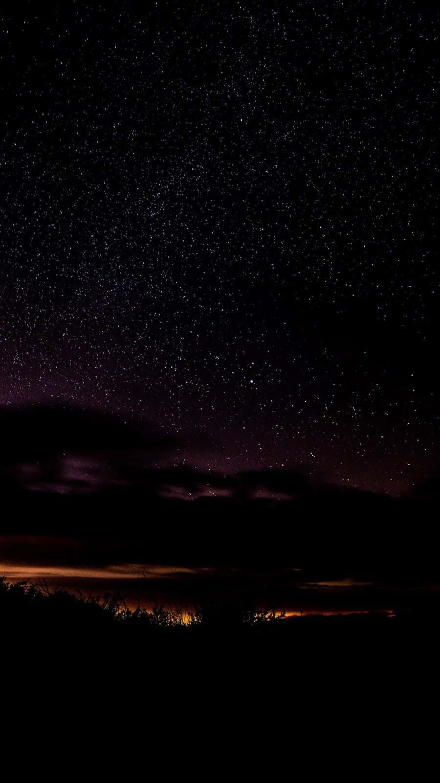 繁星點點的夜空，紫色雲彩和橙色地平線光芒籠罩著黑暗的樹木。