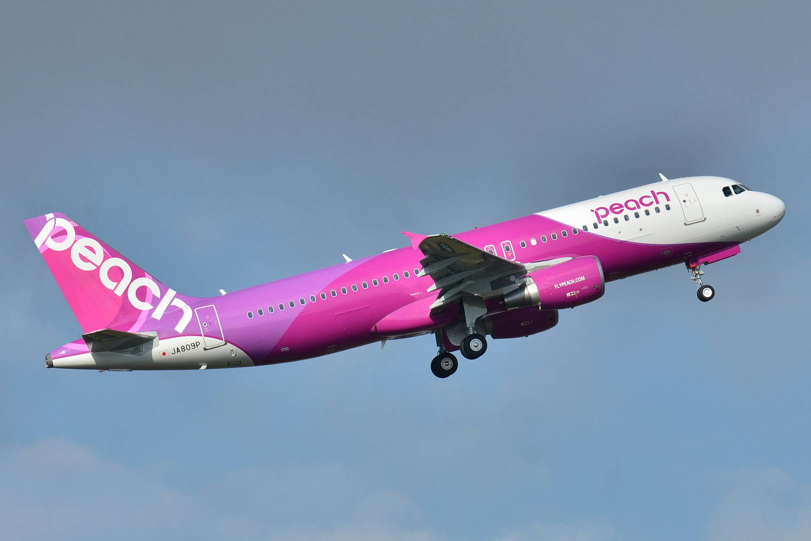 粉紅色 Peach Airlines 飛機爬升中，起落架放下。