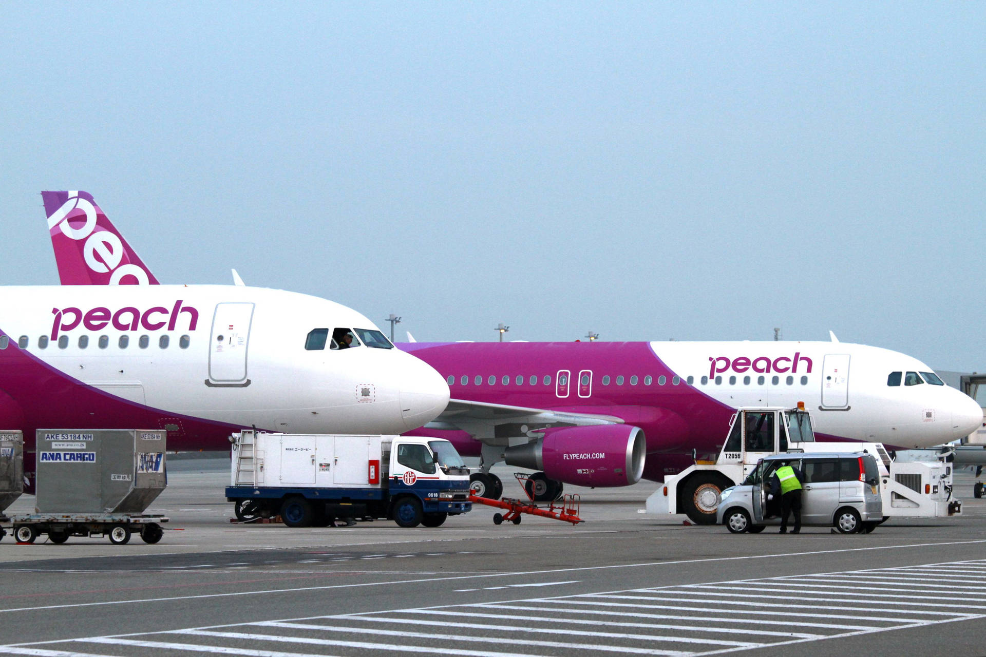 兩架Peach Airlines飛機停在機場，有服務車輛和地勤人員。