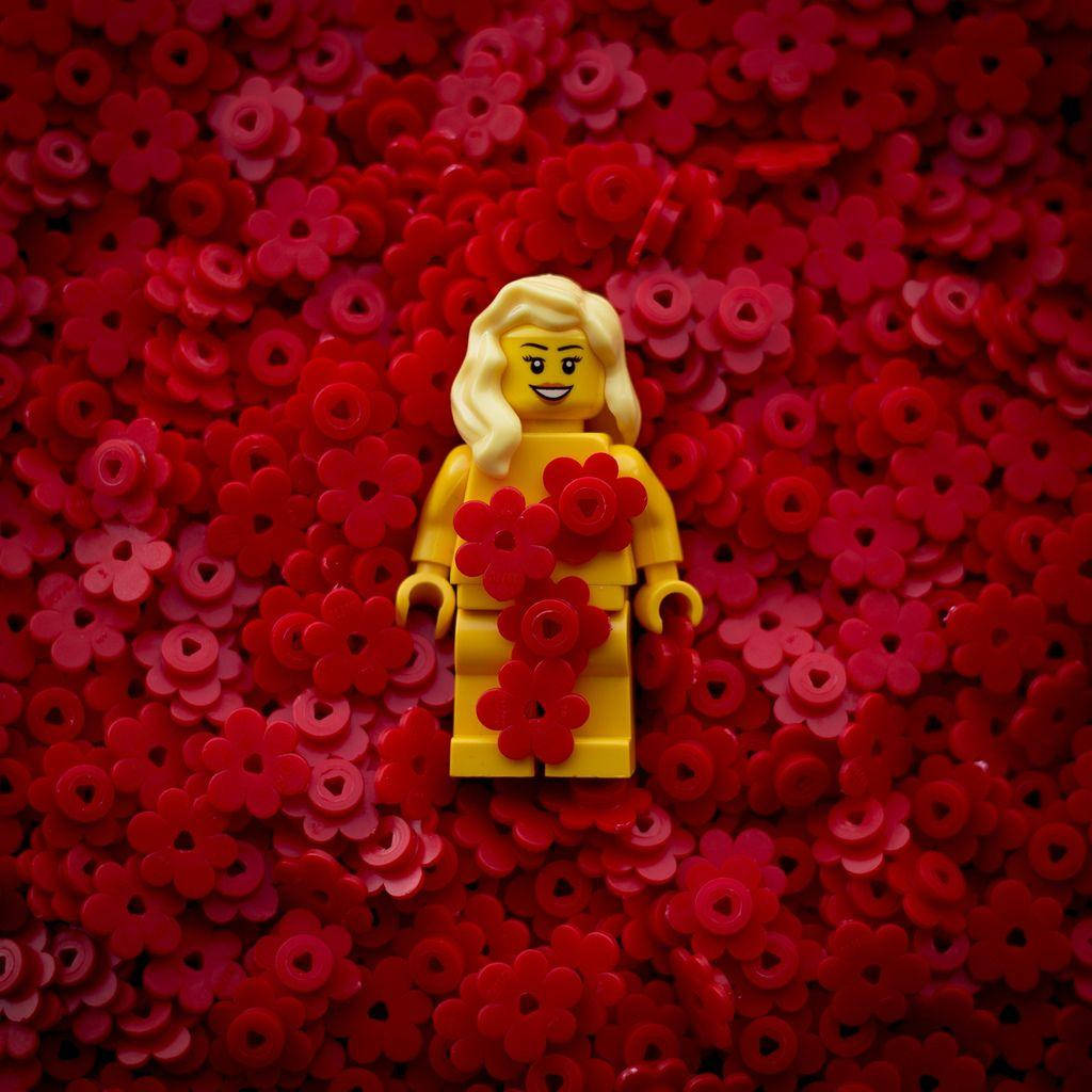 樂高版《美國美人》女性角色 壁紙 — 一個金髮的黃色LEGO迷你人偶在紅色和粉紅色花朵形狀亮片的海中微笑站立。