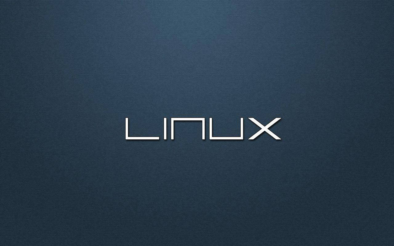 Linux 標誌以白色文字顯示在深藍色紋理背景上。