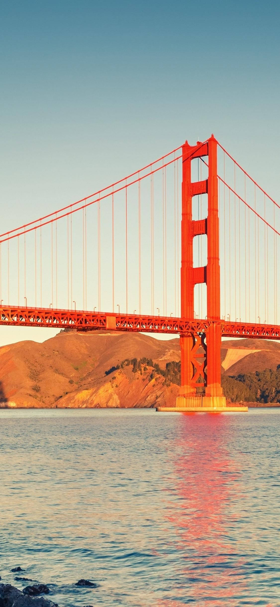 San Francisco Phone 桌布 壁紙 — 標誌性的金門大橋在清澈的藍天下散發著溫暖的橙色光芒，其倒影在平靜的水面上閃爍，遠處的山丘籠罩在柔和的金色光線中。