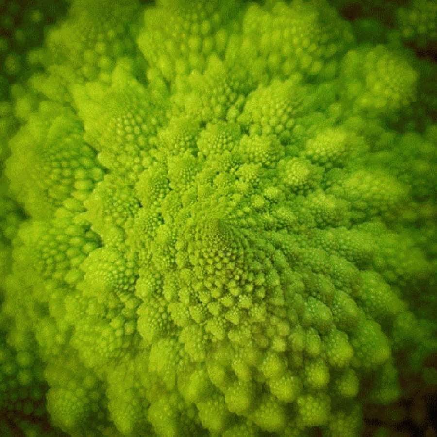 標題：分形宇宙的精妙之美 壁紙