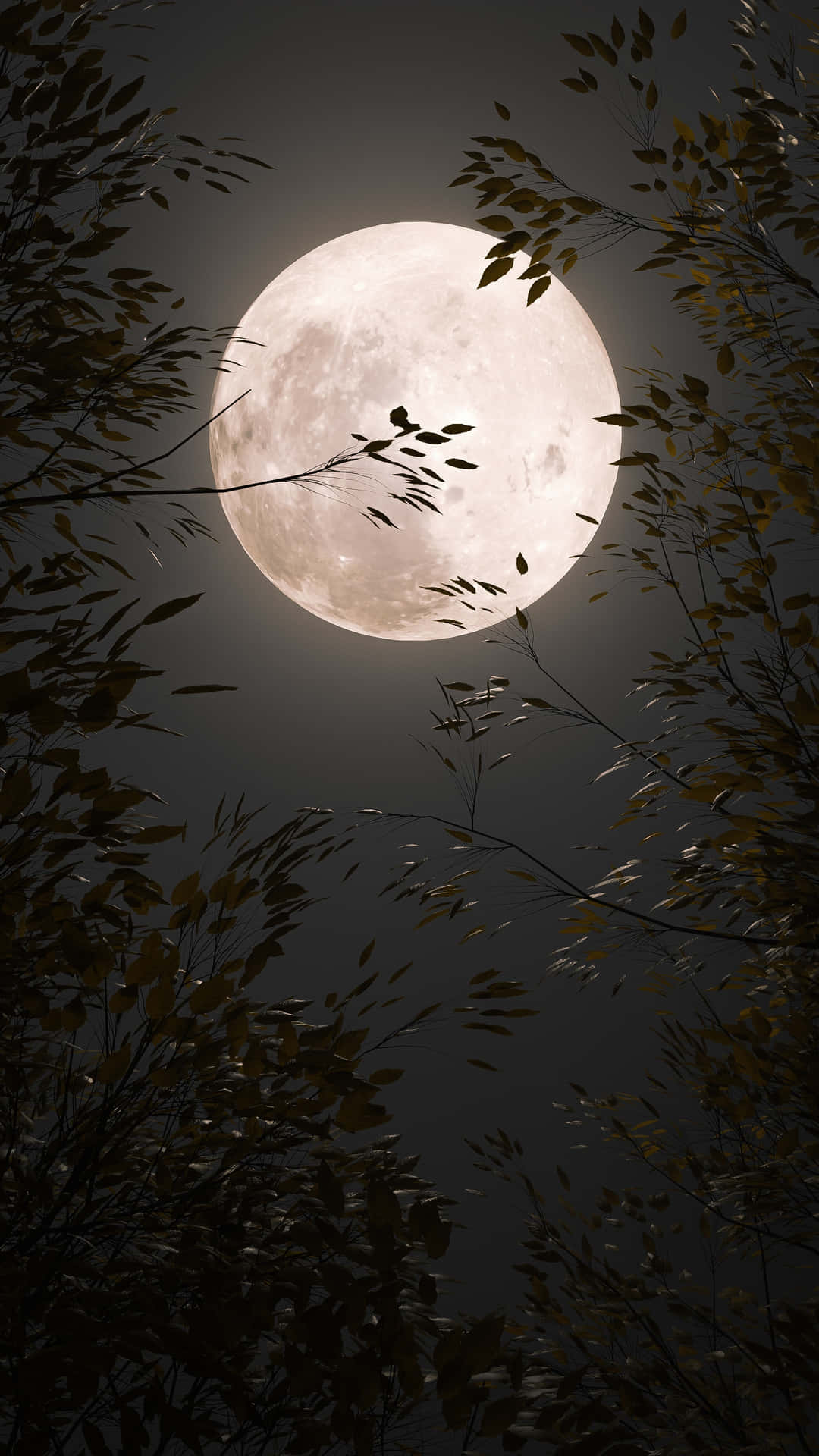 標題：壯麗滿月夜空 壁紙 — 一輪明亮的滿月穿過剪影般的秋日樹枝，在漆黑的夜空中閃耀。