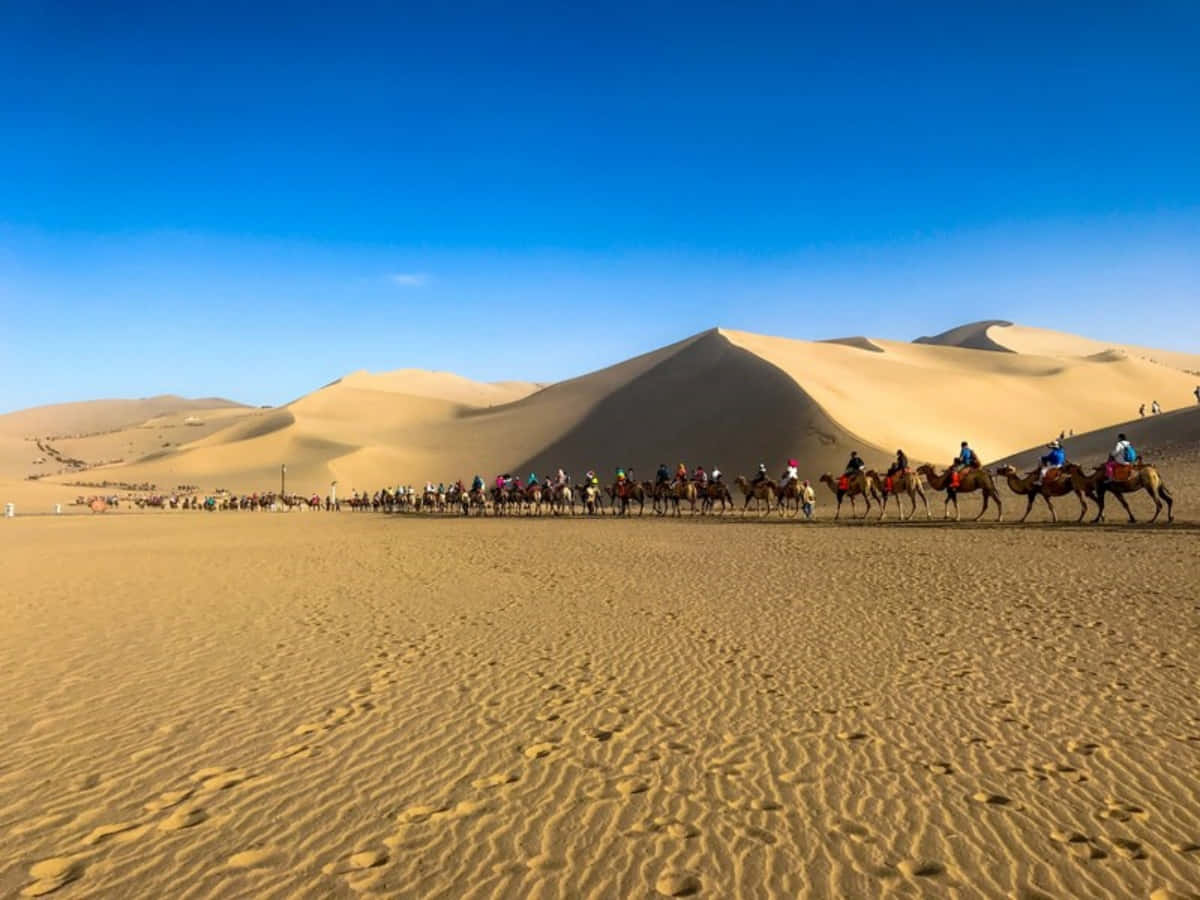 標題：壯麗的絲綢之路古道風景 壁紙 — 一隊長長的駱駝商隊載著騎手，在晴朗的藍天下穿越廣闊沙漠景觀中的金色沙丘。