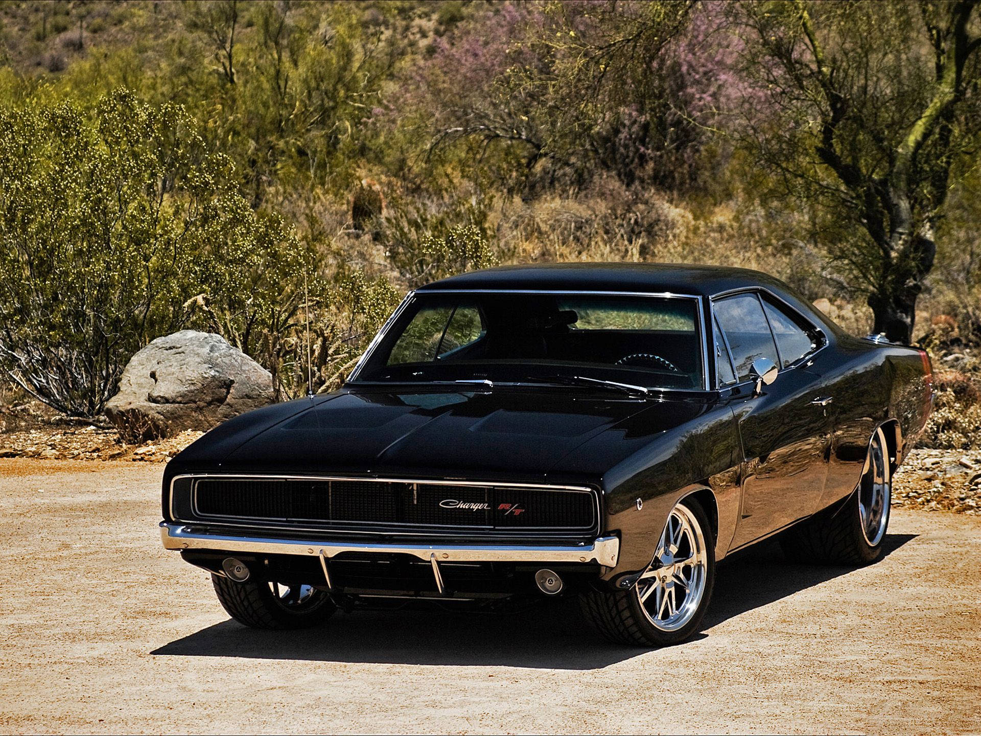 標題：經典 Dodge Charger R/T 肌肉車 壁紙 — 一架光澤黑色經典肌肉車停泊在陽光明媚的泥路上，周圍環繞著沙漠灌木和開花的樹木。