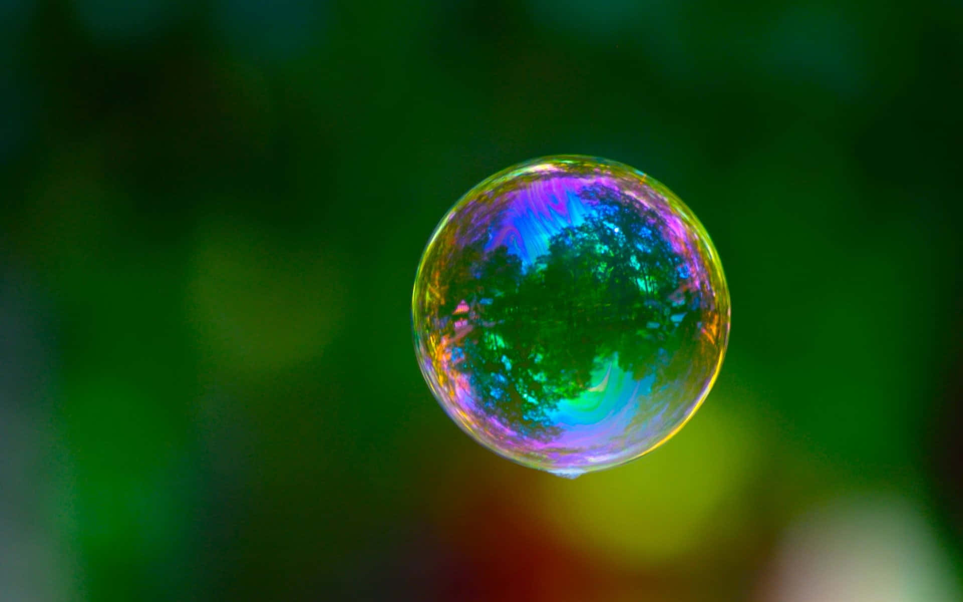 模糊氣泡風景背景 壁紙 — 一個單一的彩虹色肥皂泡在柔和的綠色模糊背景上漂浮，反射出鮮豔的彩虹色調。