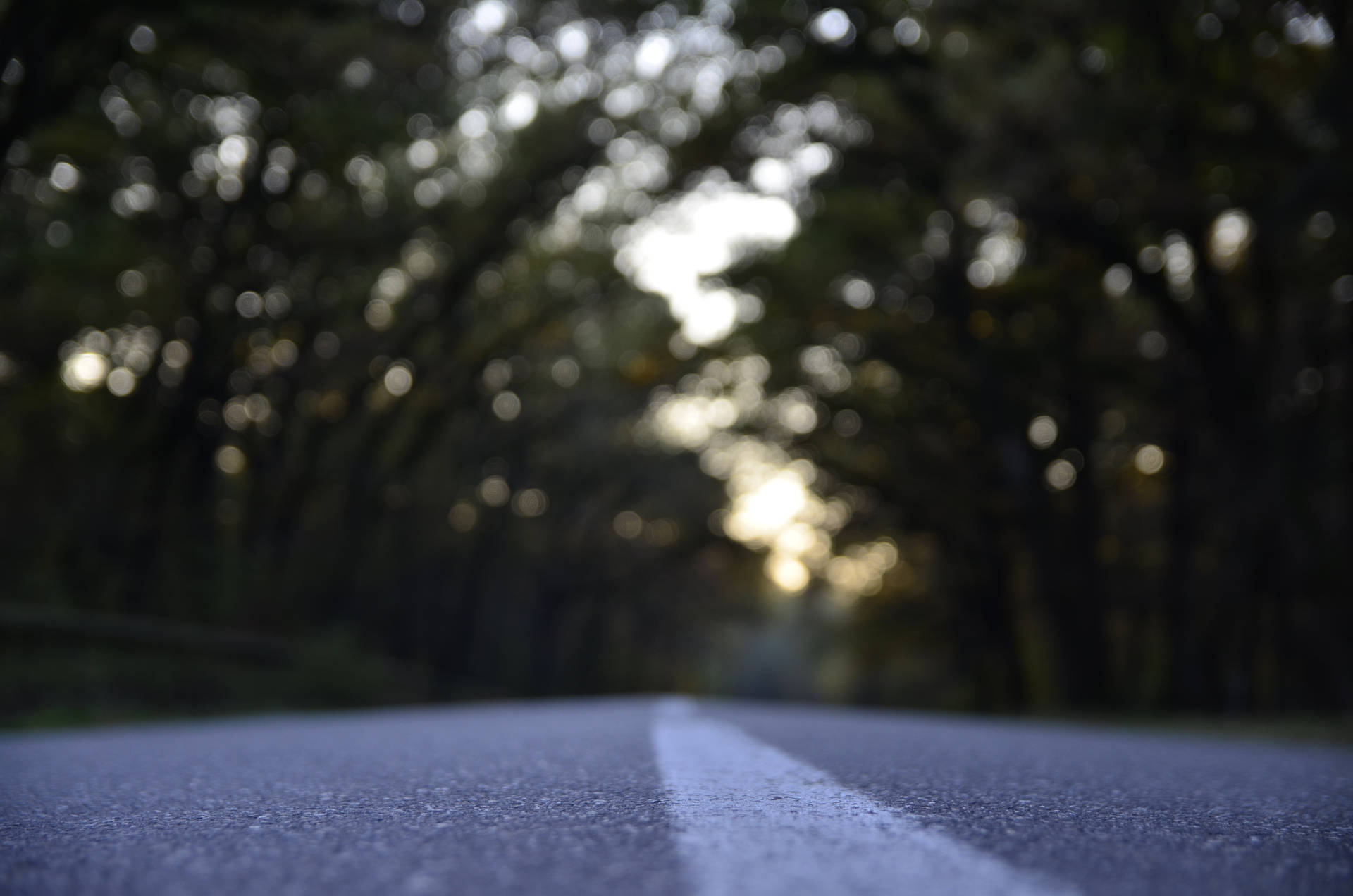 一條穿過森林的道路，遠處有模糊的樹木和陽光。