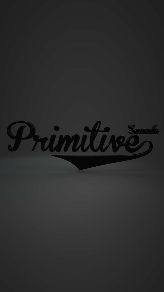 在灰色漸變背景上，黑色風格文字寫著 Primitive Sounds。