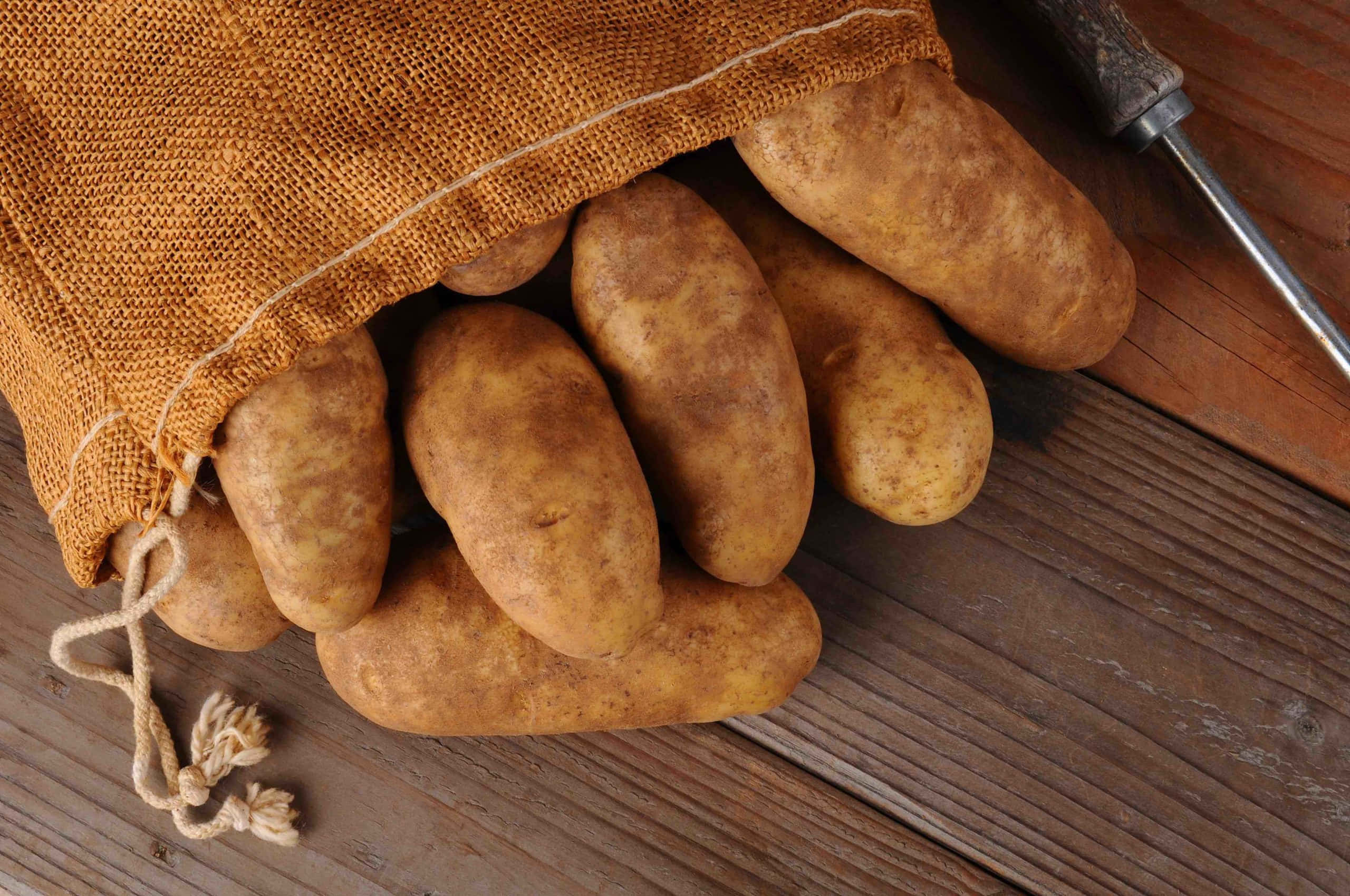 Potato 桌布 壁紙 — 樸素的粗麻布袋將金黃色的馬鈴薯灑在風化的木板上，旁邊有一個金屬工具。