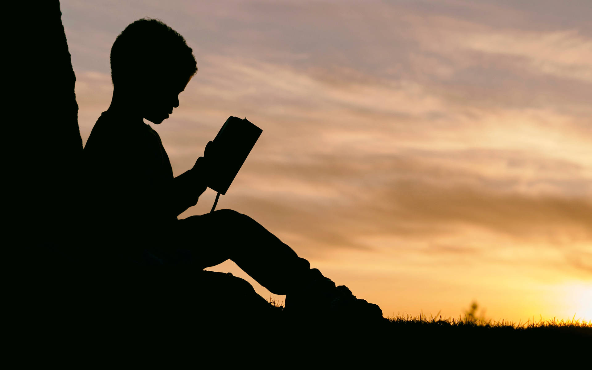樹下剪影男孩閱讀書籍 壁紙 — 一個孩子讀書的剪影，背景是溫暖的日落天空和柔軟的雲朵。