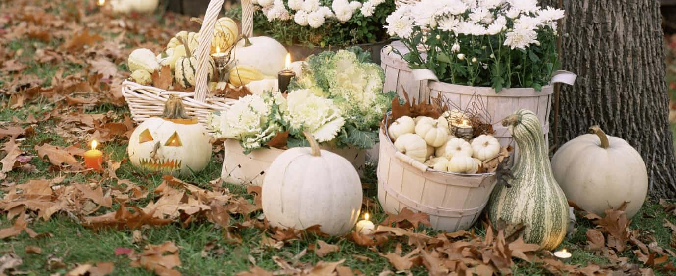 Fall Pumpkins 桌布 壁紙 — 樹下落葉中擺放著白色南瓜、葫蘆和蠟燭的秋收場景。