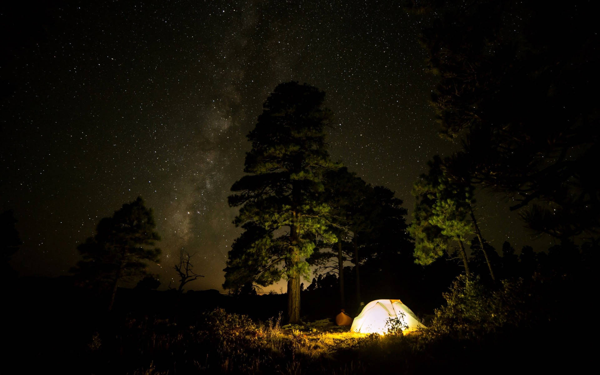 夜晚森林中，星空下亮著的帳篷，銀河可見。