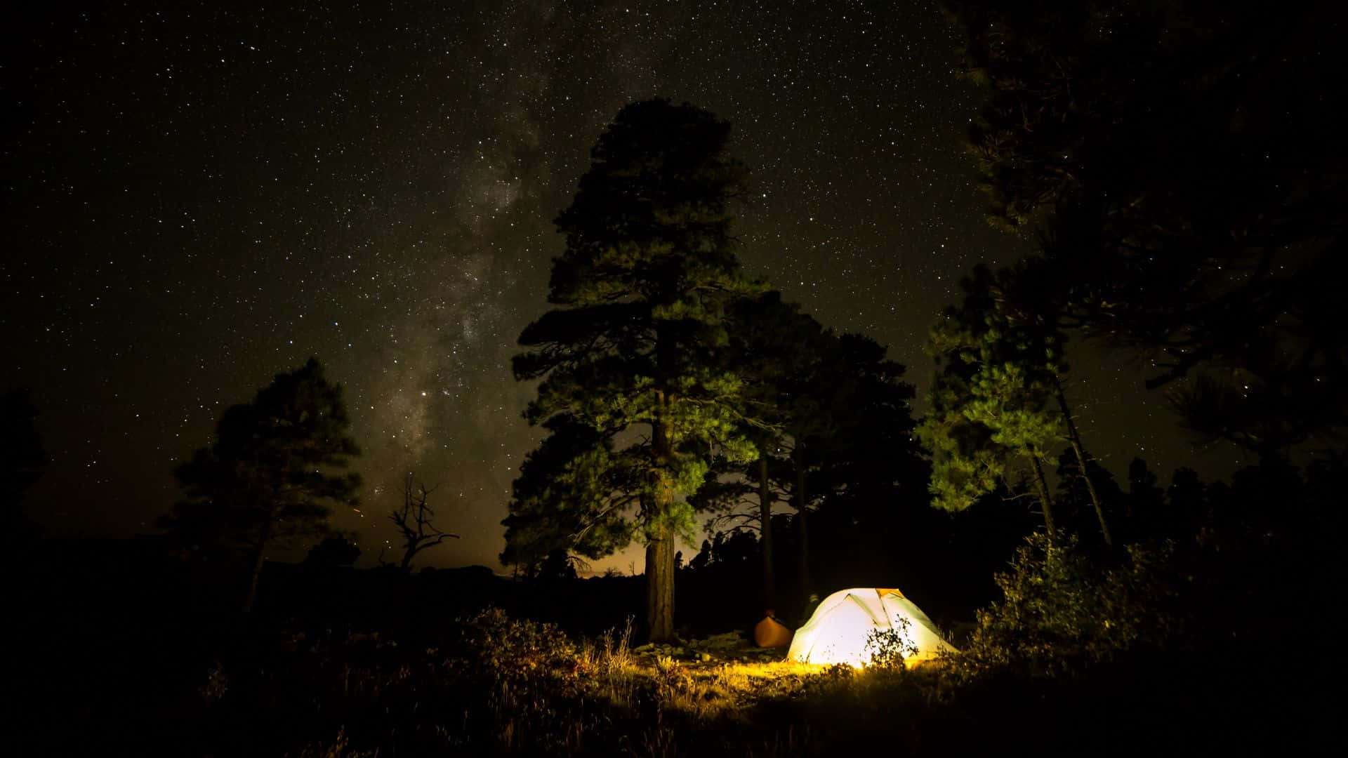 夜間森林中，星空下亮著的帳篷，可見銀河。