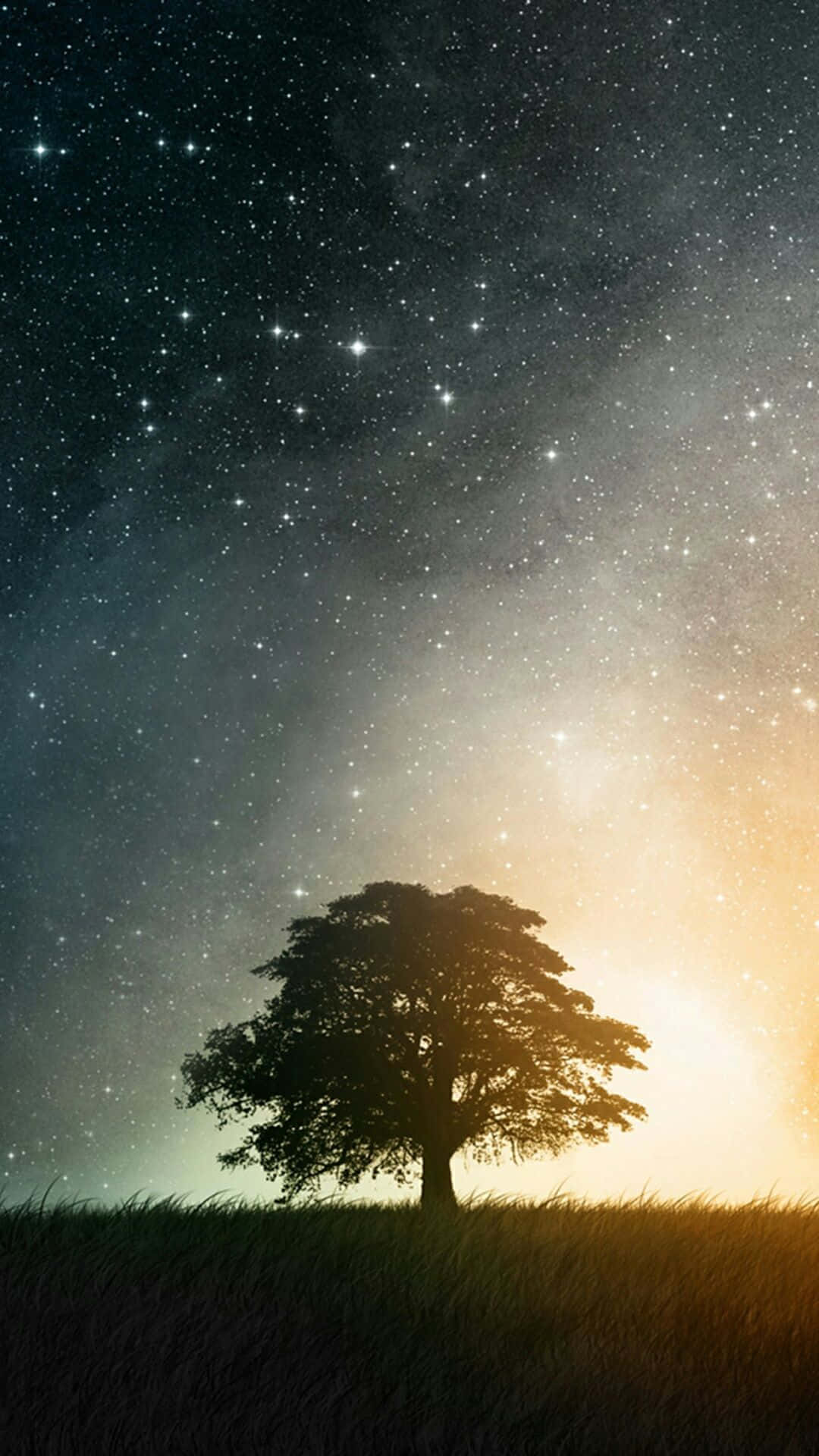 樹影星夜 壁紙 — 一棵孤樹的剪影矗立在長滿草的山丘上，下方是閃爍著宇宙光芒的星空夜空。