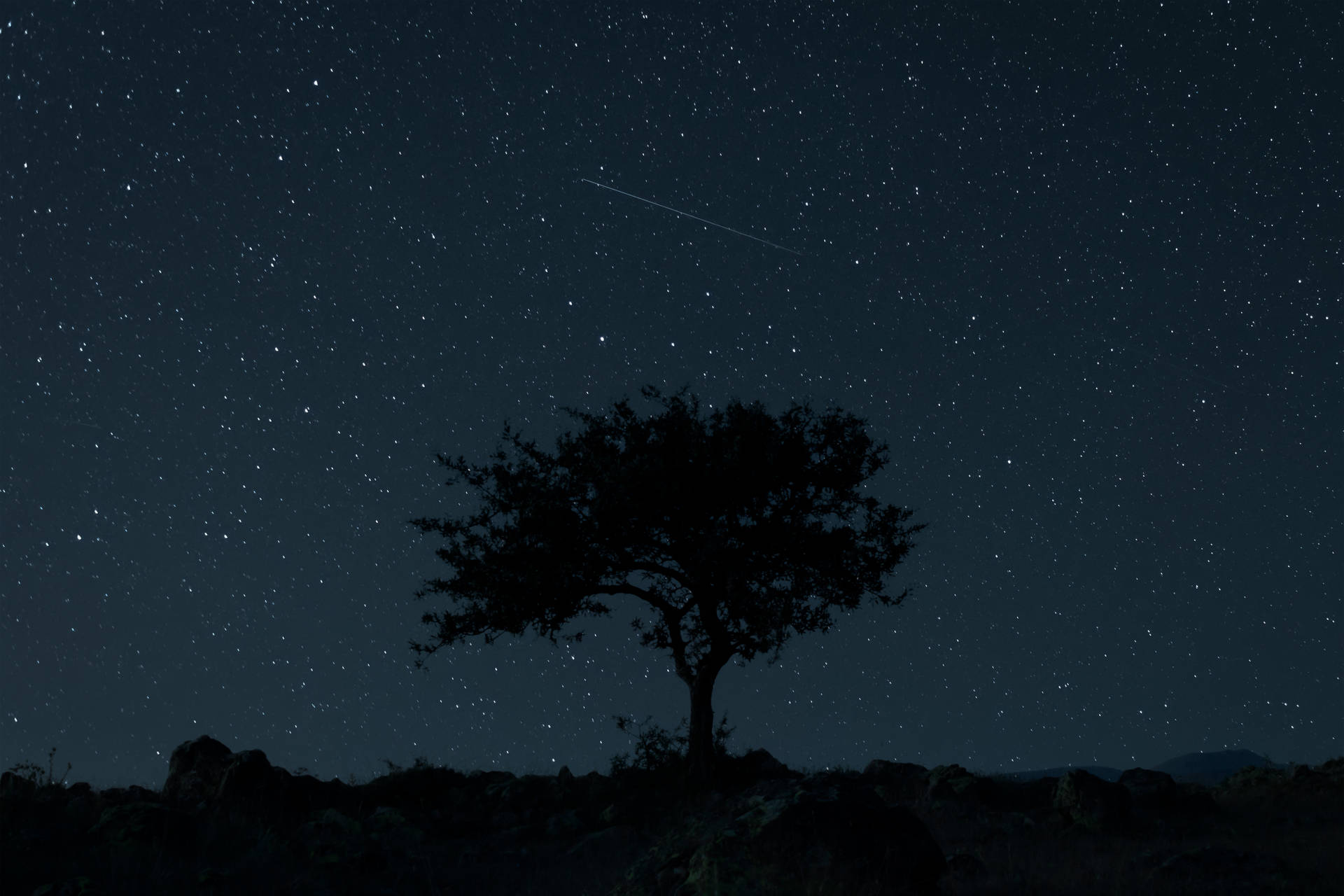 在繁星點點的夜空下，一棵孤樹立於岩石山丘上，伴隨著一顆流星。