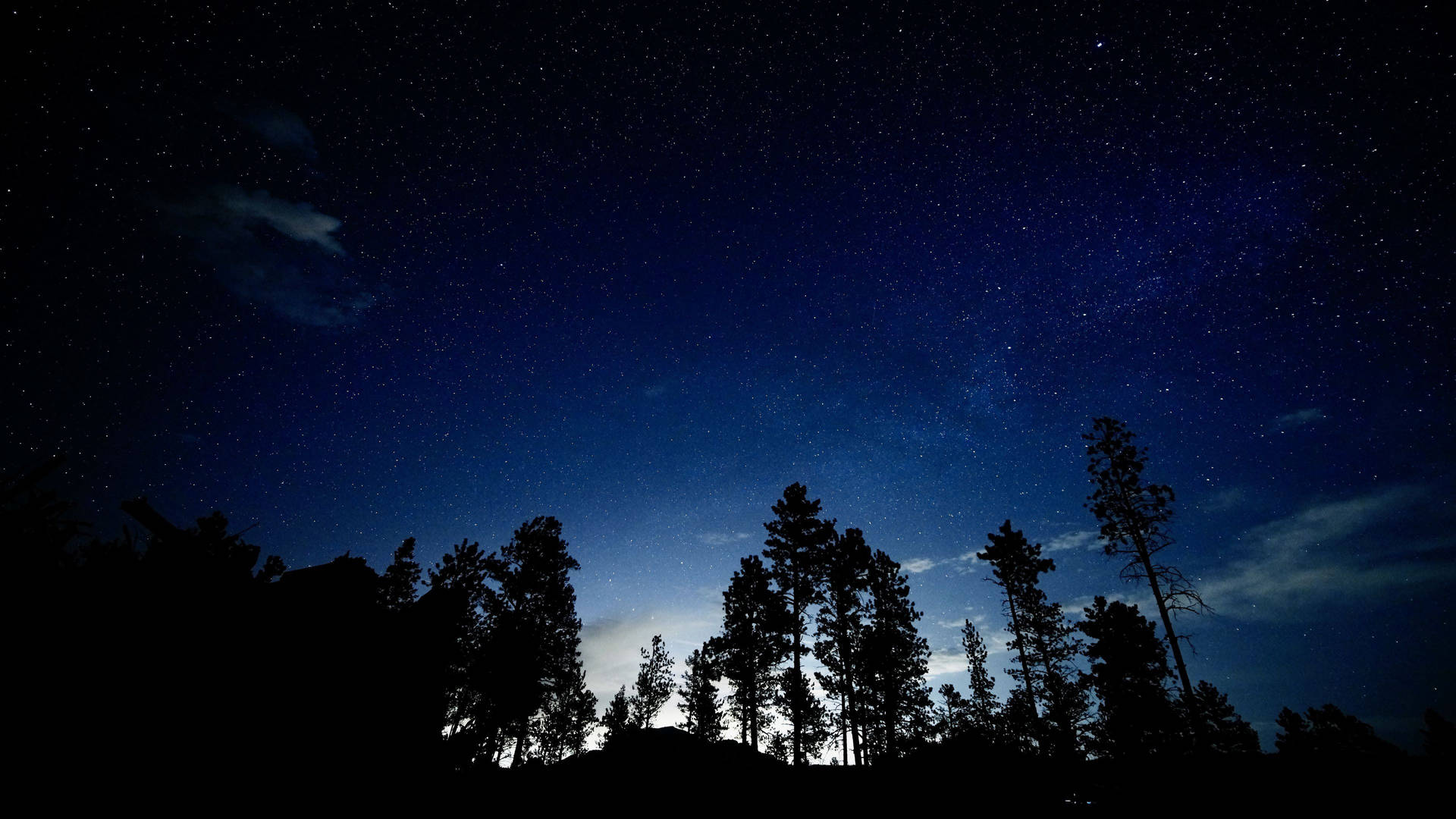 剪影的樹木在星空夜空下，帶有深藍色調和散落的雲彩。