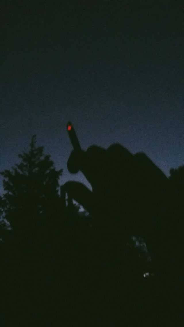 手部拿著發光紅色物體，背景為有樹木的黑暗夜空