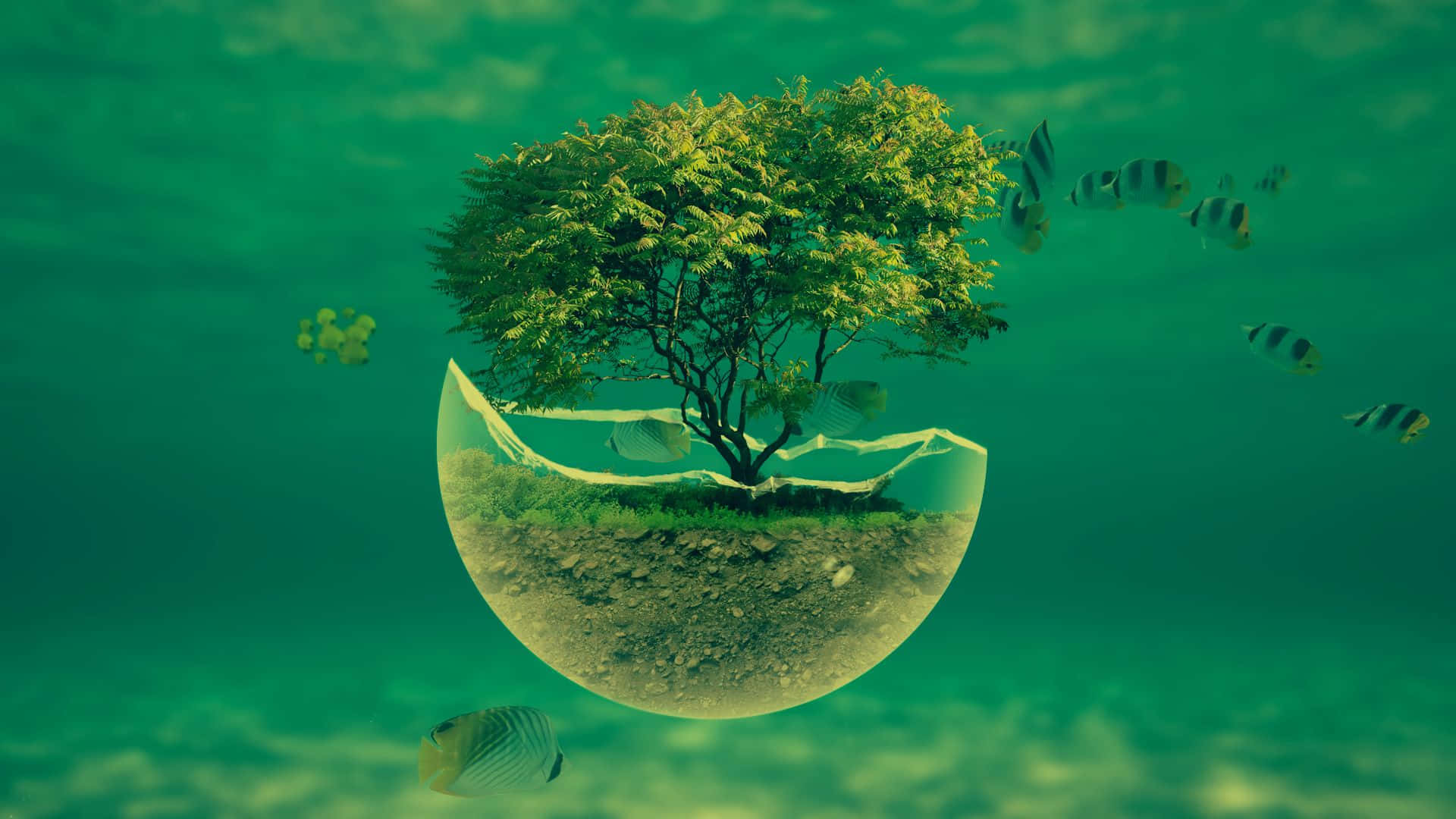 水下玻璃穹頂中的樹和游動的魚
