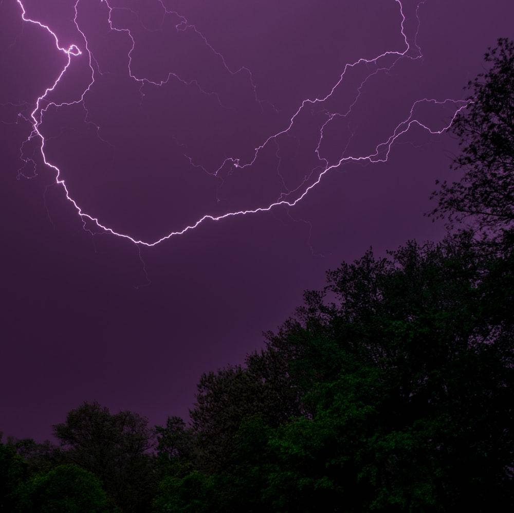 紫色閃電照亮暴風雨的夜空，映襯出黑暗的樹木剪影。