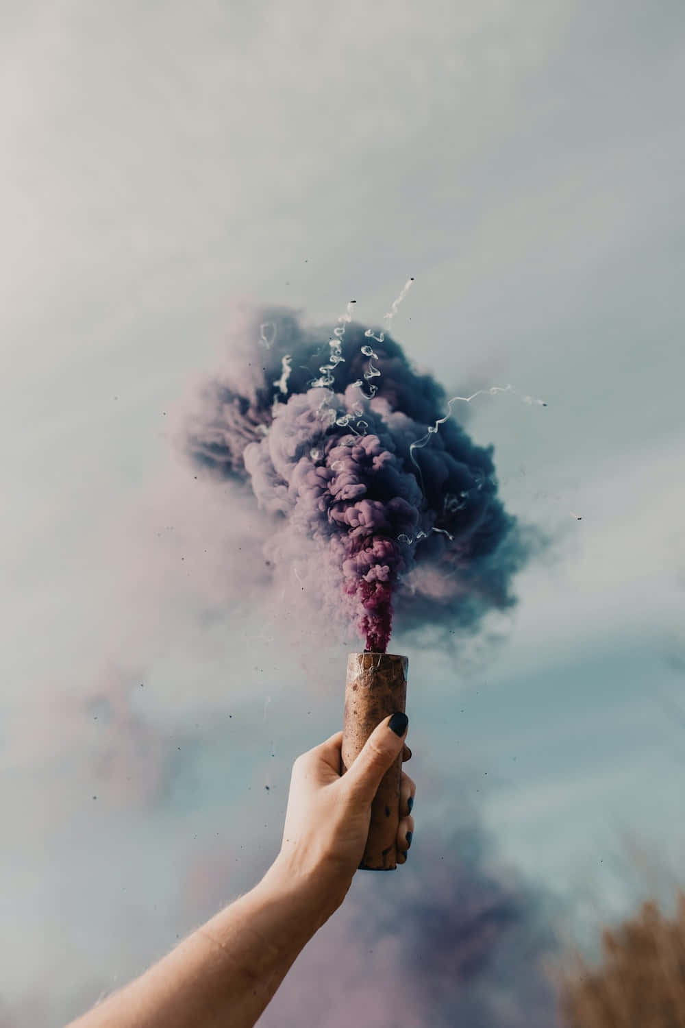 樹林上空的神秘煙霧 壁紙