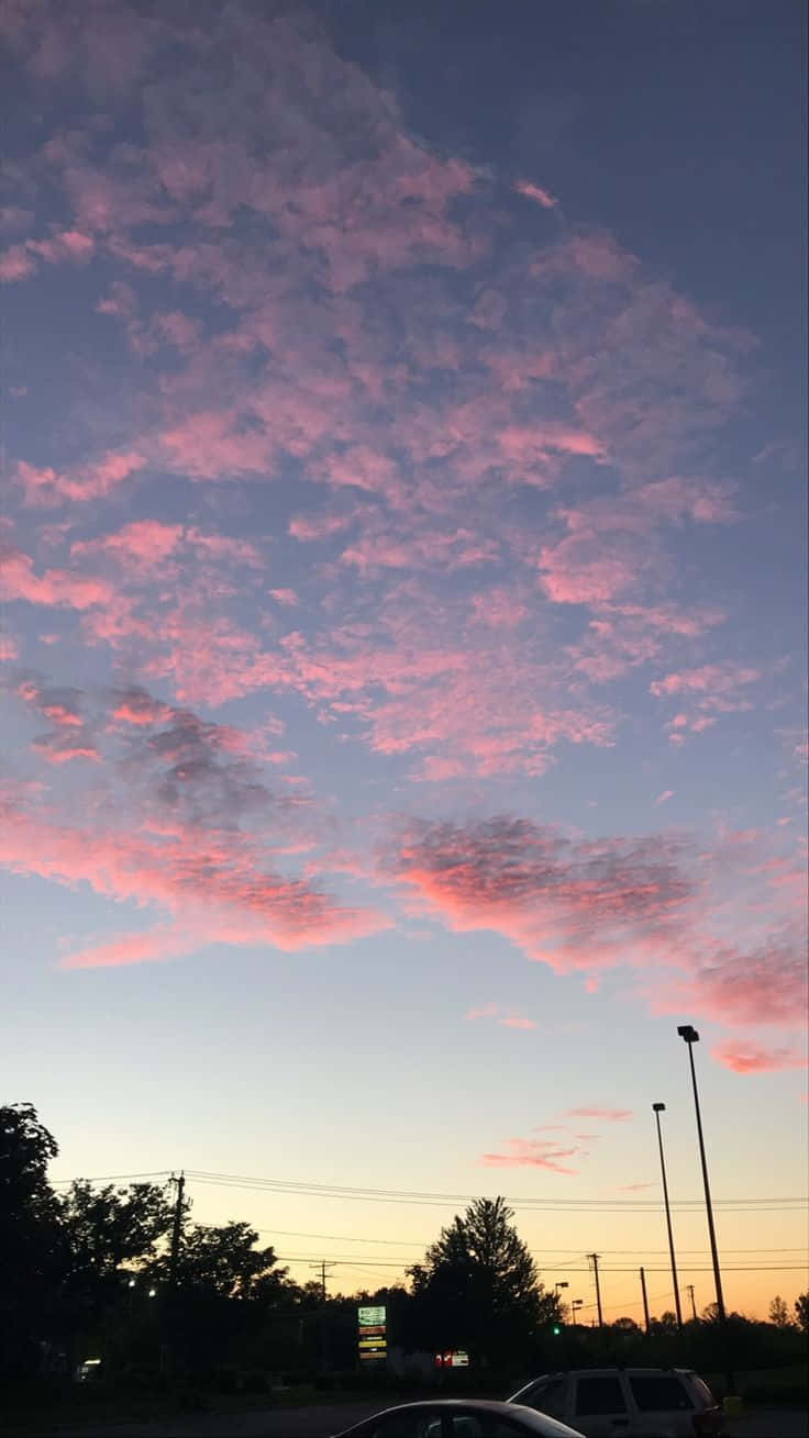 樹林前停車場的唯美夕陽 iPhone 壁紙 — 寧靜路邊停車場上空，鮮豔的粉紅和紫色日落雲景，襯托出樹木和汽車的剪影。