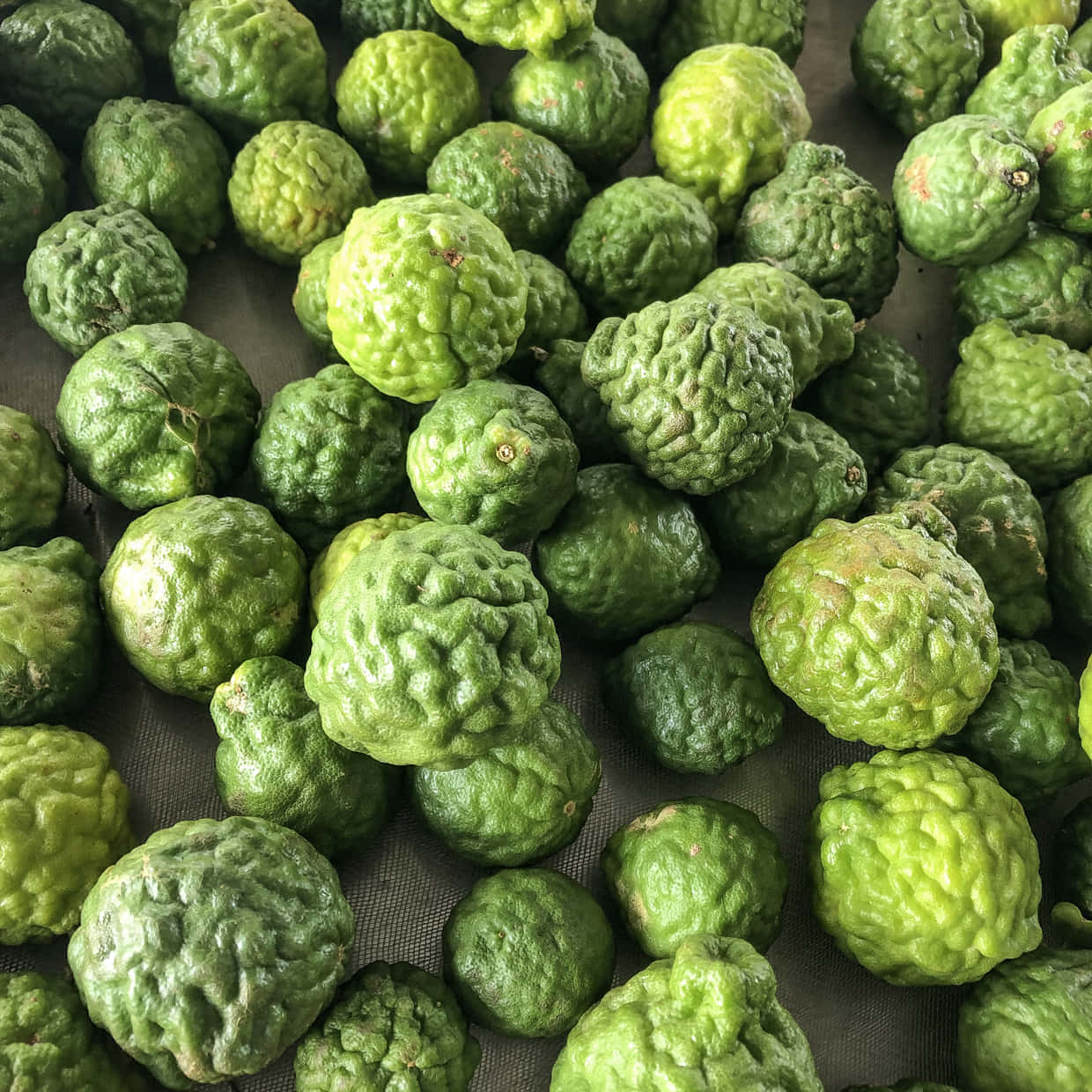 樹枝上新鮮的香茅檸檬 壁紙 — 大量凹凸不平的綠色柑橘類水果，表皮有紋理，堆疊在一起的近距離特寫。