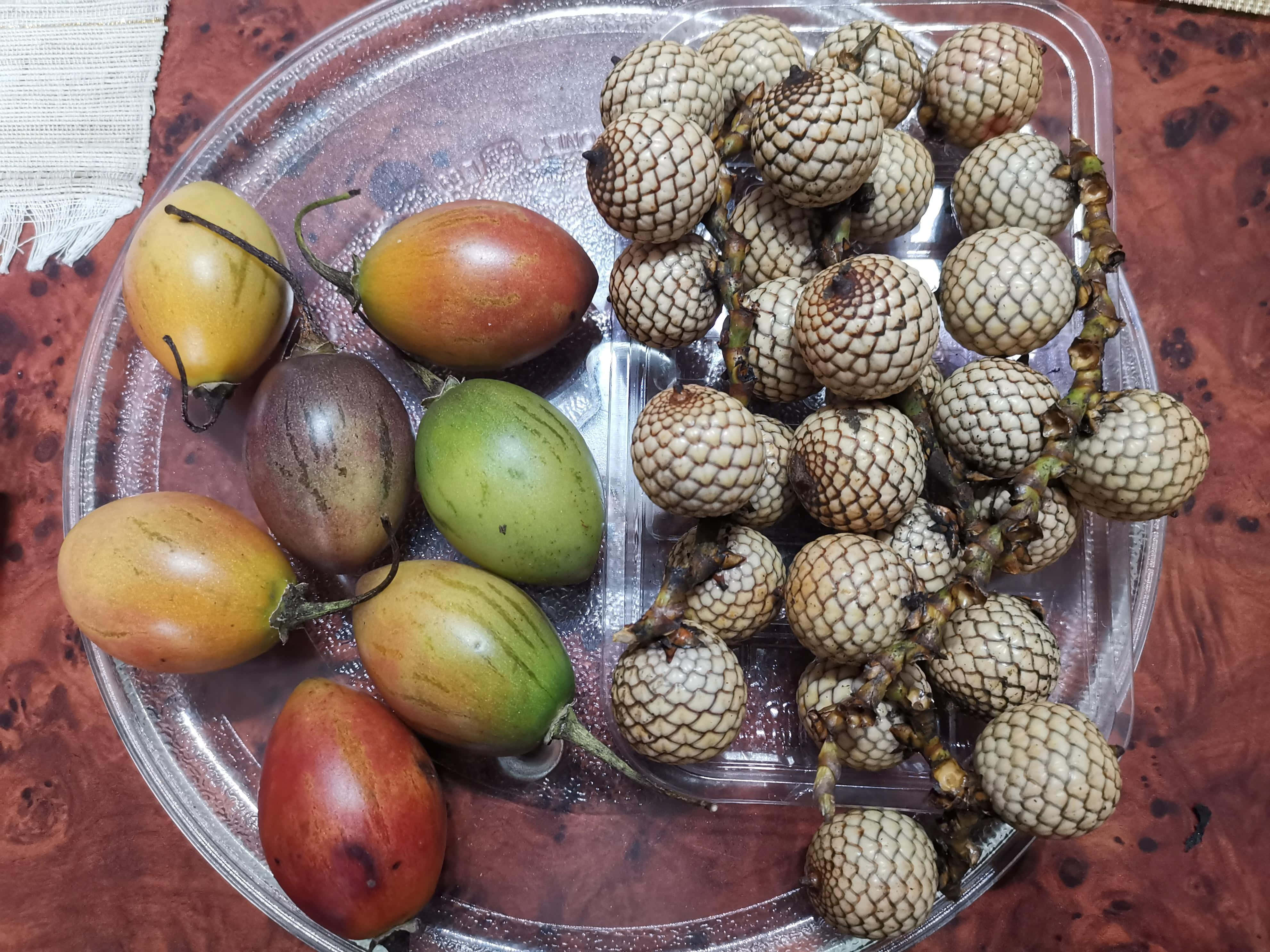 樹番茄與藤蔓果實攝影 壁紙 — 一個透明塑膠托盤上放著色彩繽紛的蛋形水果和一簇質感豐富的米色棕櫚堅果，置於紅褐色木質表面上。