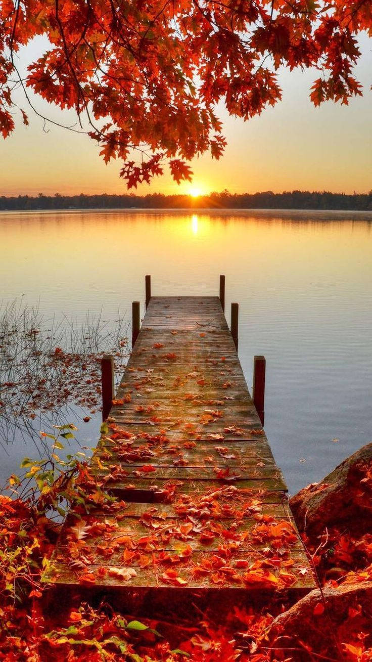 橋畔紅葉秋景 iPhone 壁紙 — 一個木製碼頭覆蓋著鮮豔的紅色秋葉，延伸到日落時分的平靜湖面，頂部有火紅的樹葉框住。