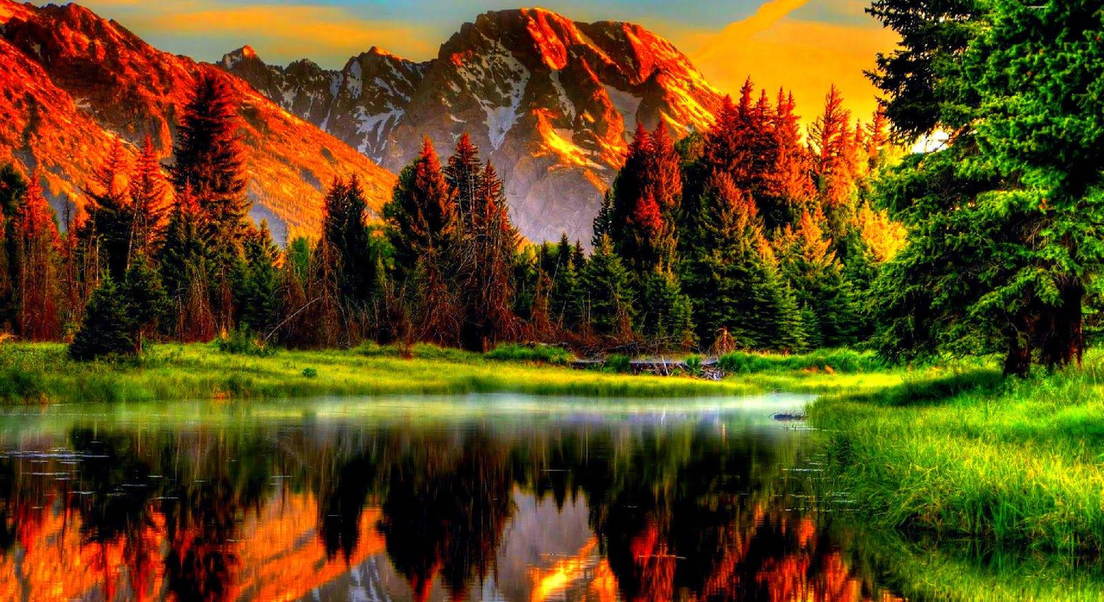 橙綠自然風景 壁紙 — 夕陽西下，絢麗的橙紅色光芒灑在積雪的山峰和常青樹上，完美地倒映在平靜的湖面上。