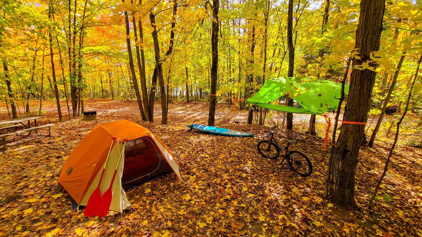 Fall Camping 桌布 壁紙 — 橙色帳篷和綠色吊床坐落於鋪滿金色秋葉的森林中。