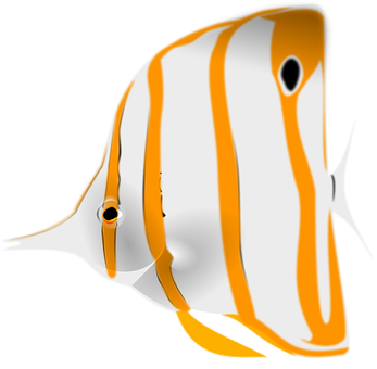 橙色條紋神仙魚插畫 壁紙