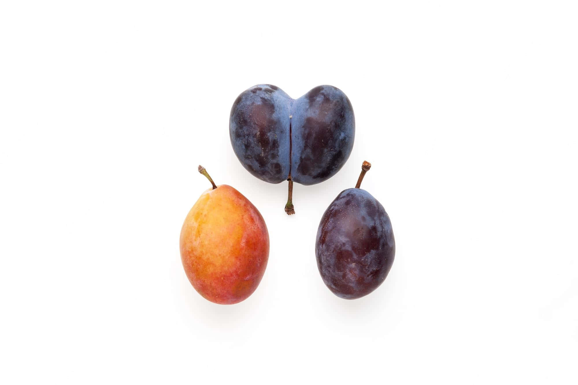 橙色與連生 Damson 梅 壁紙 — 三個布冧，其中一個切半露出多汁內部，排列在純白背景上。