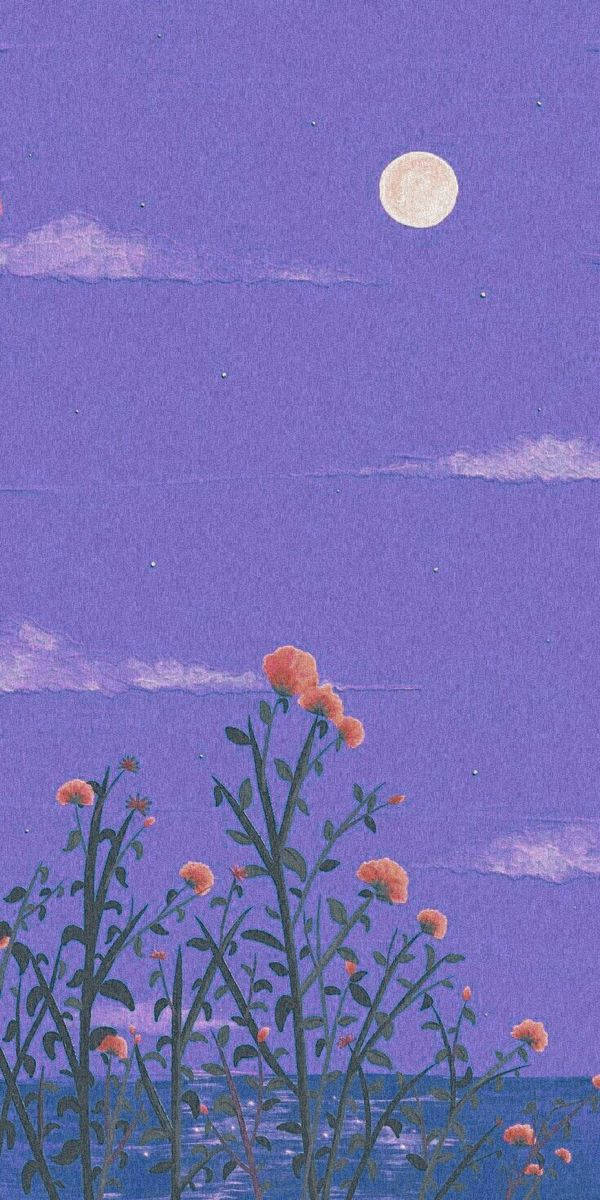 橙色花卉