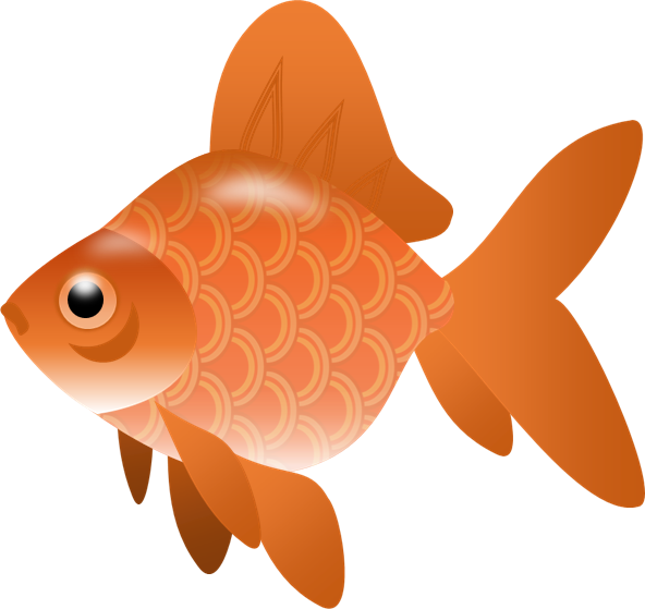 橙色金魚插圖 壁紙
