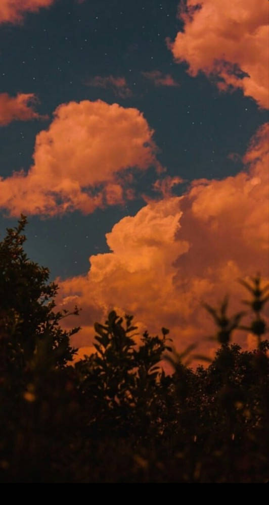 橙色雲朵美學 壁紙 — 充滿活力的橙色雲朵在繁星點點的夜空下，在黑暗的樹木剪影上方發光。