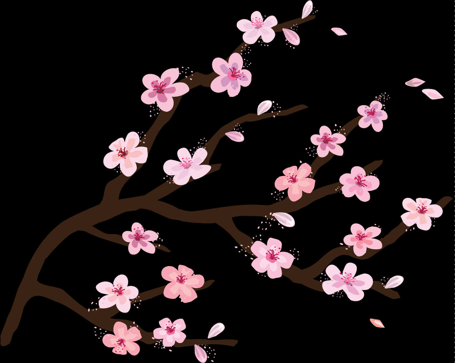 櫻花枝條插畫 壁紙
