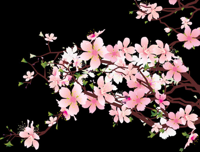 櫻花枝條插畫 壁紙