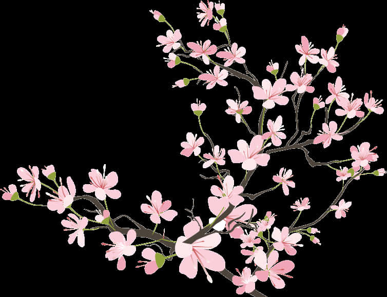 櫻花枝條插畫 壁紙