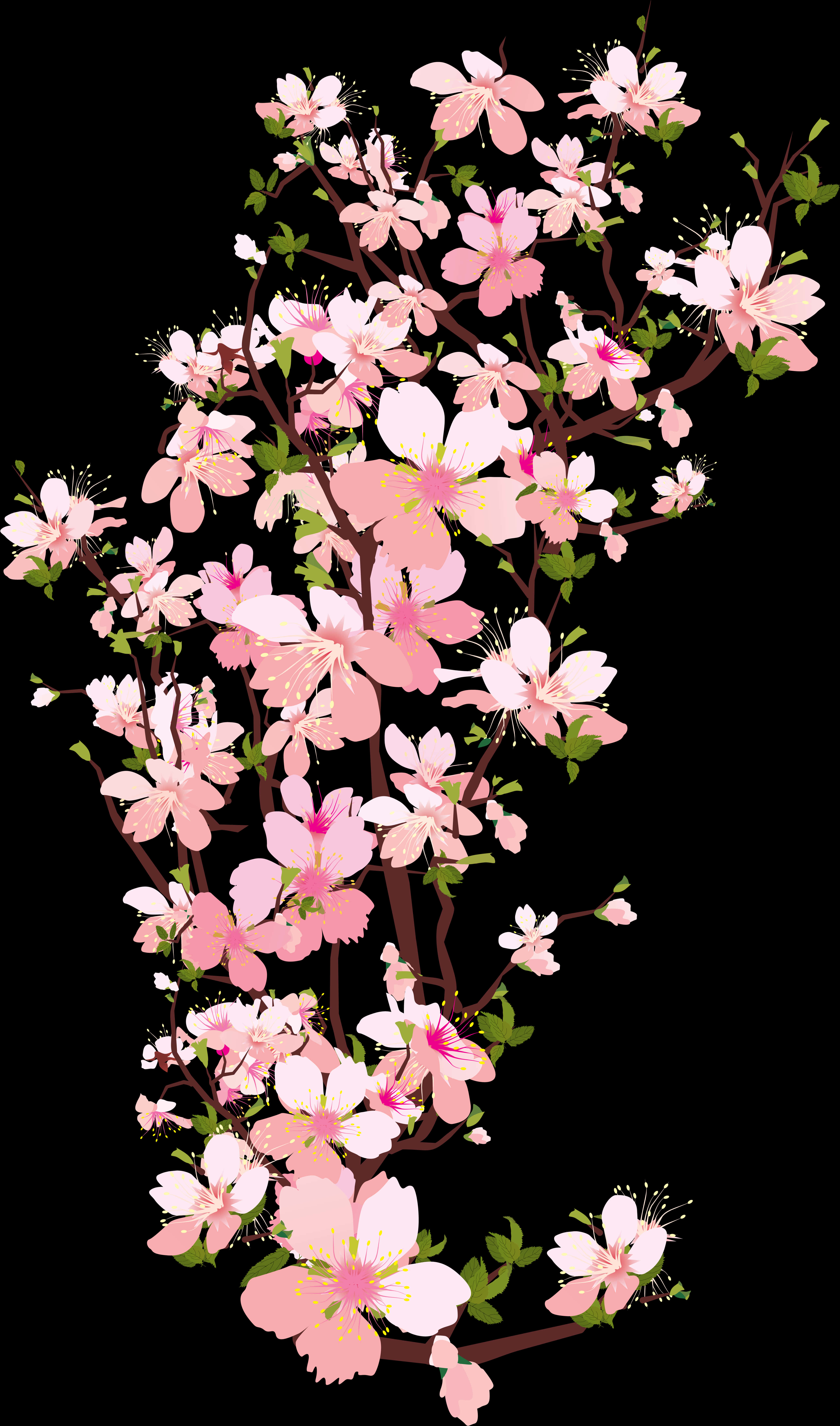 櫻花枝條藝術作品 壁紙