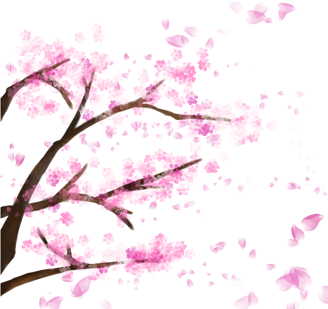 櫻花枝條藝術表現 壁紙 — 數碼藝術櫻花枝，帶有粉紅色花朵和飄落的花瓣，背景為黑色。