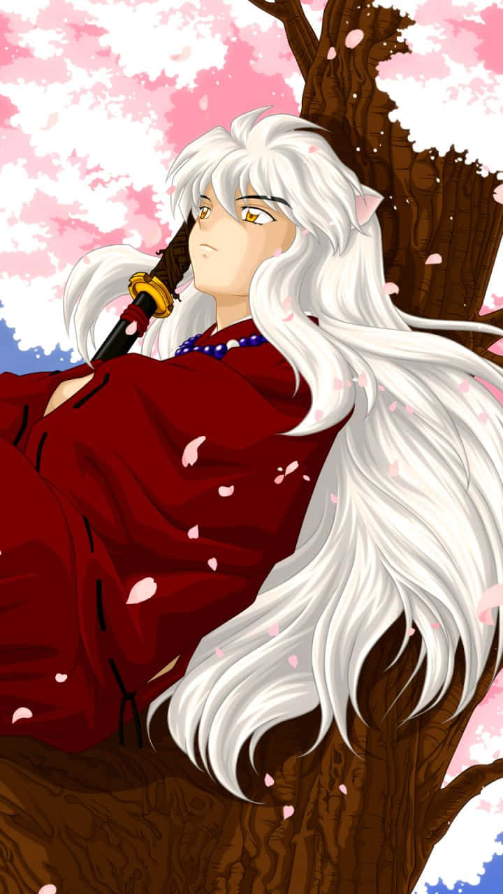 櫻花樹下《犬夜叉》手機壁紙 壁紙 — 長白髮紅袍的動漫角色倚靠在一棵粉紅櫻花樹下。