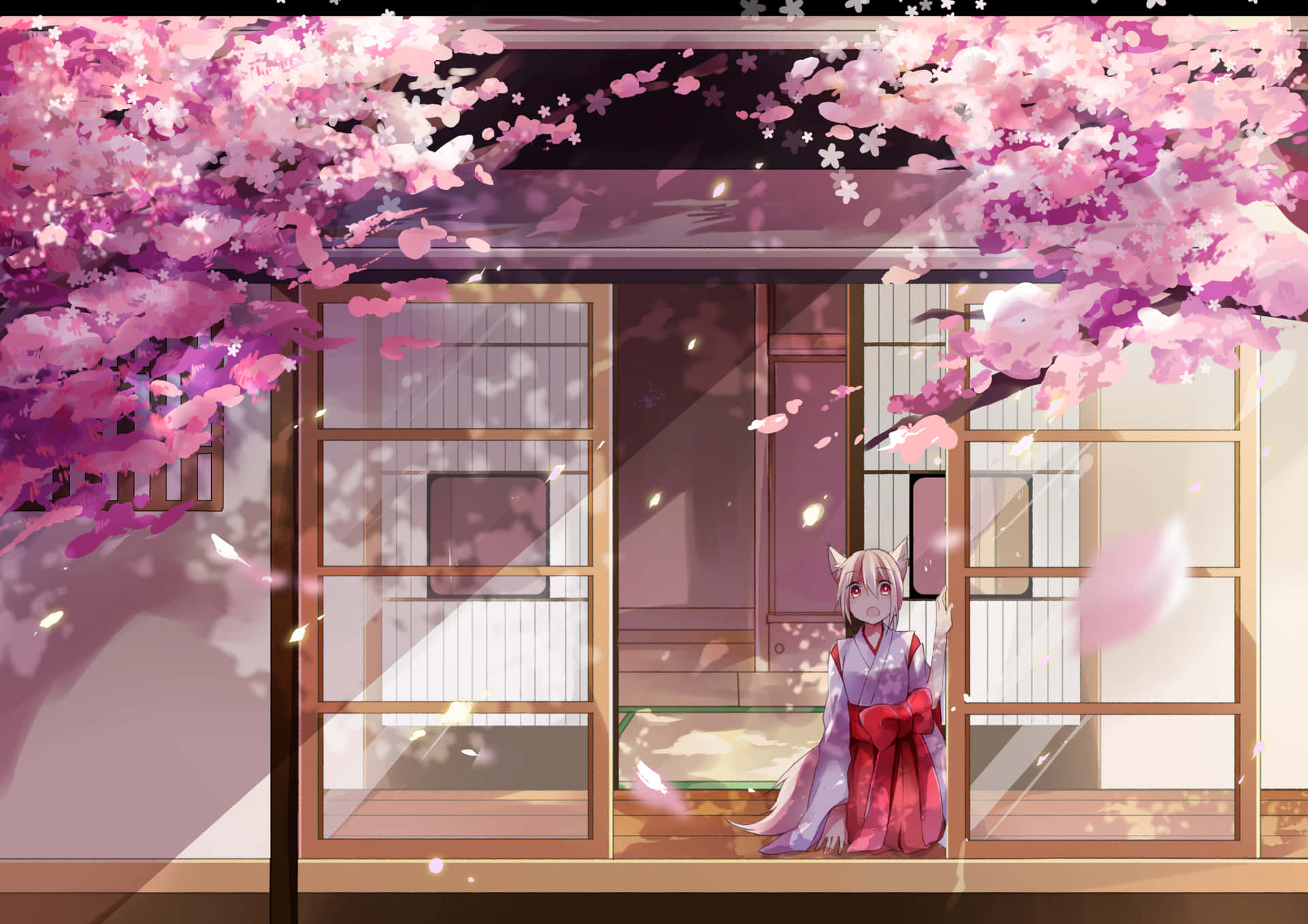 櫻花背景 壁紙