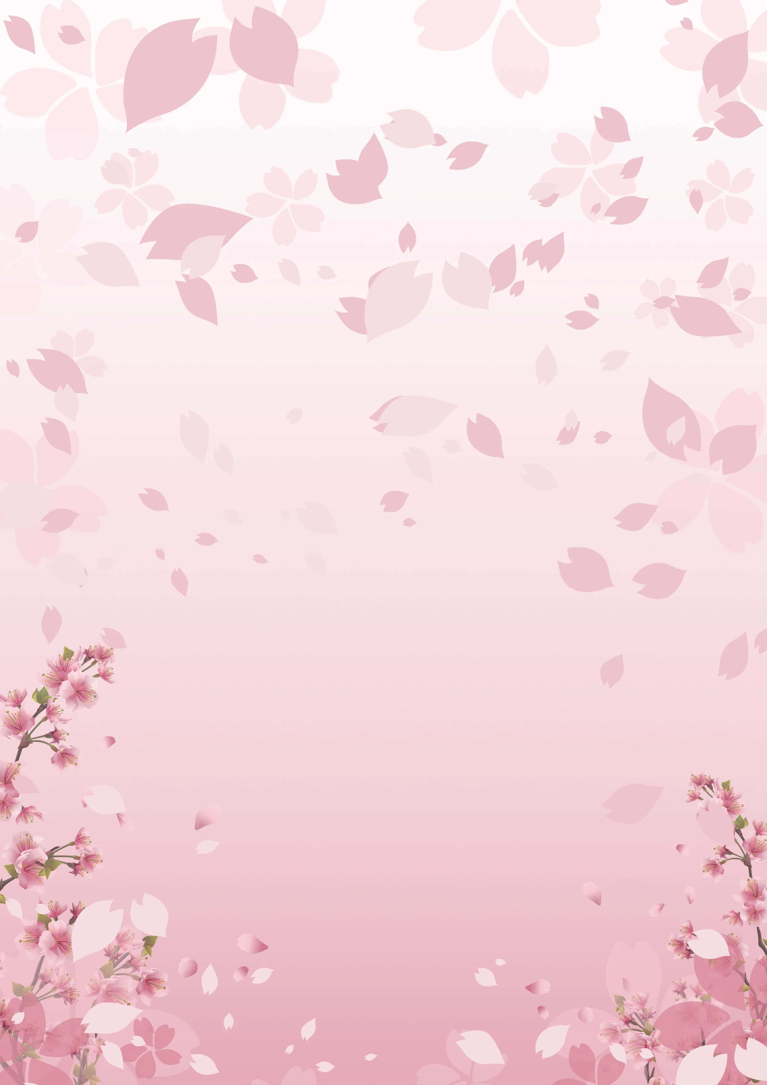 櫻花背景 壁紙
