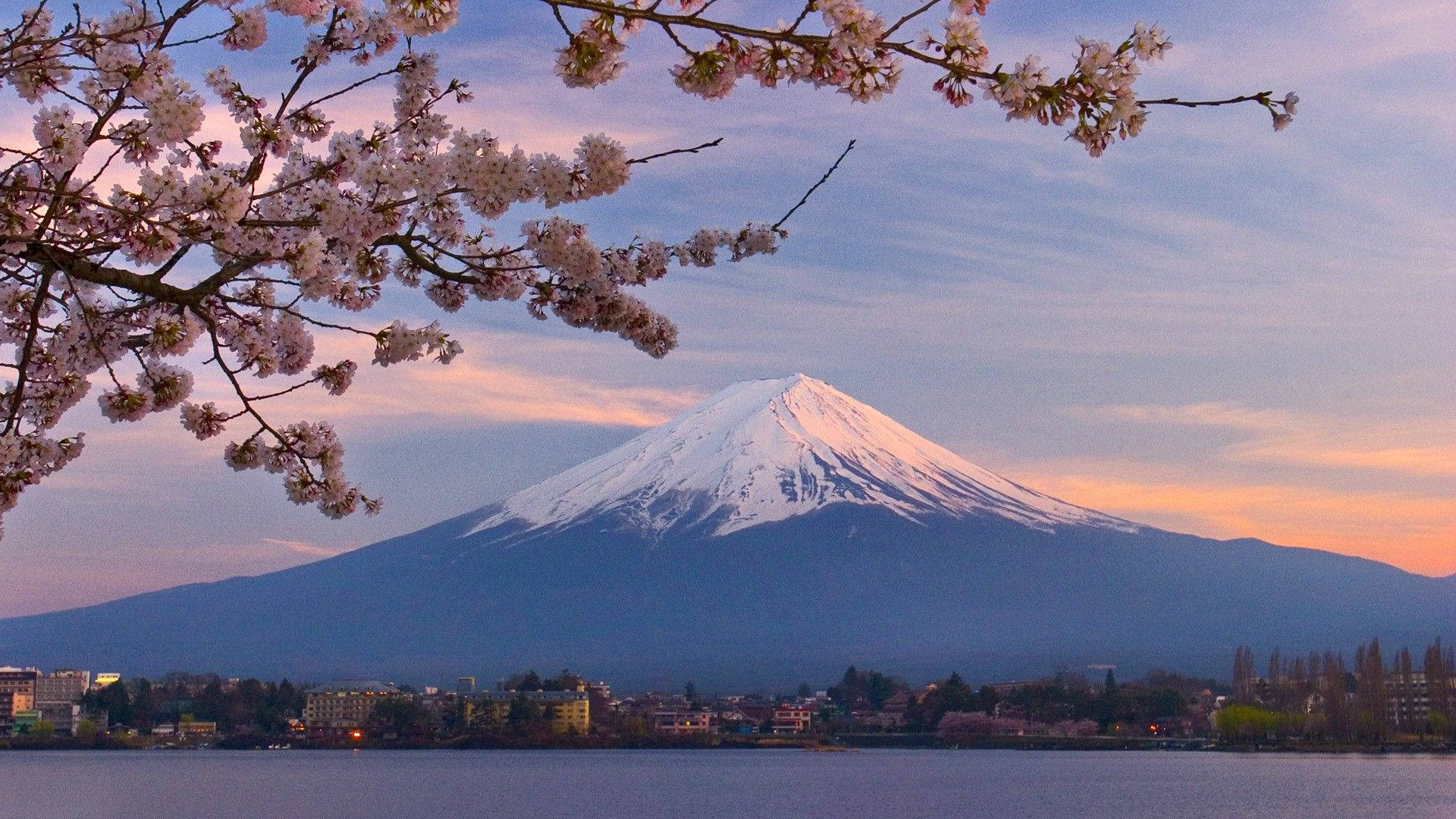 櫻花在平靜的湖面上環繞著日落時的富士山。