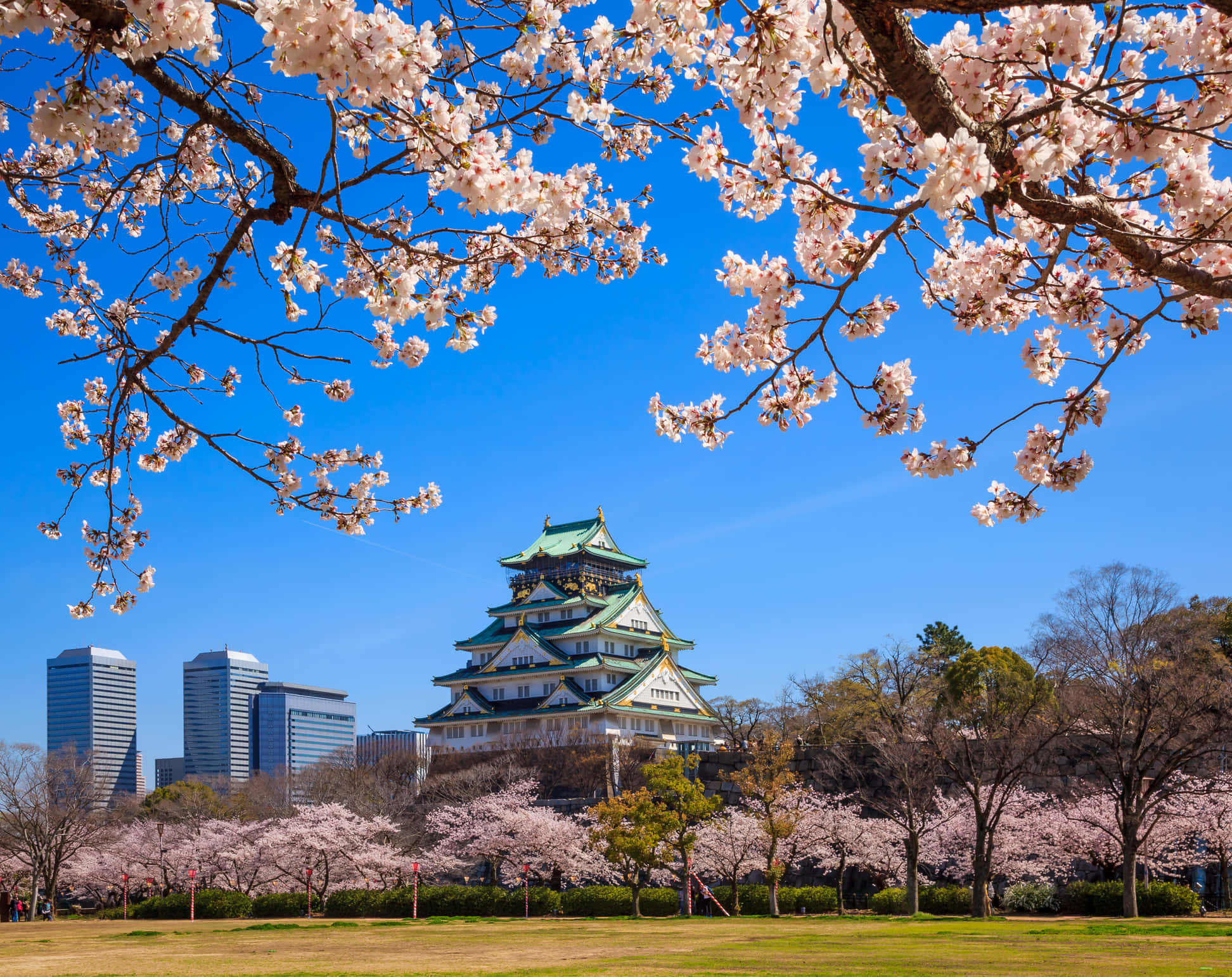 Landscapes 桌布 壁紙 — 櫻花襯托著大阪城，背景是清澈的藍天和現代摩天大樓。