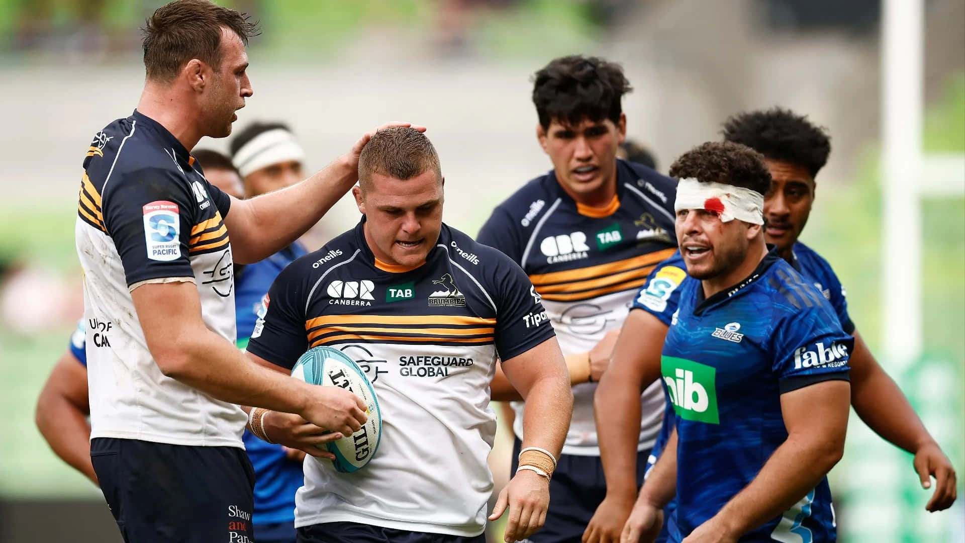 Brumbies 桌布 壁紙 — 欖球運動員在草地上比賽，一名球員持球，另一名頭部包紮繃帶。