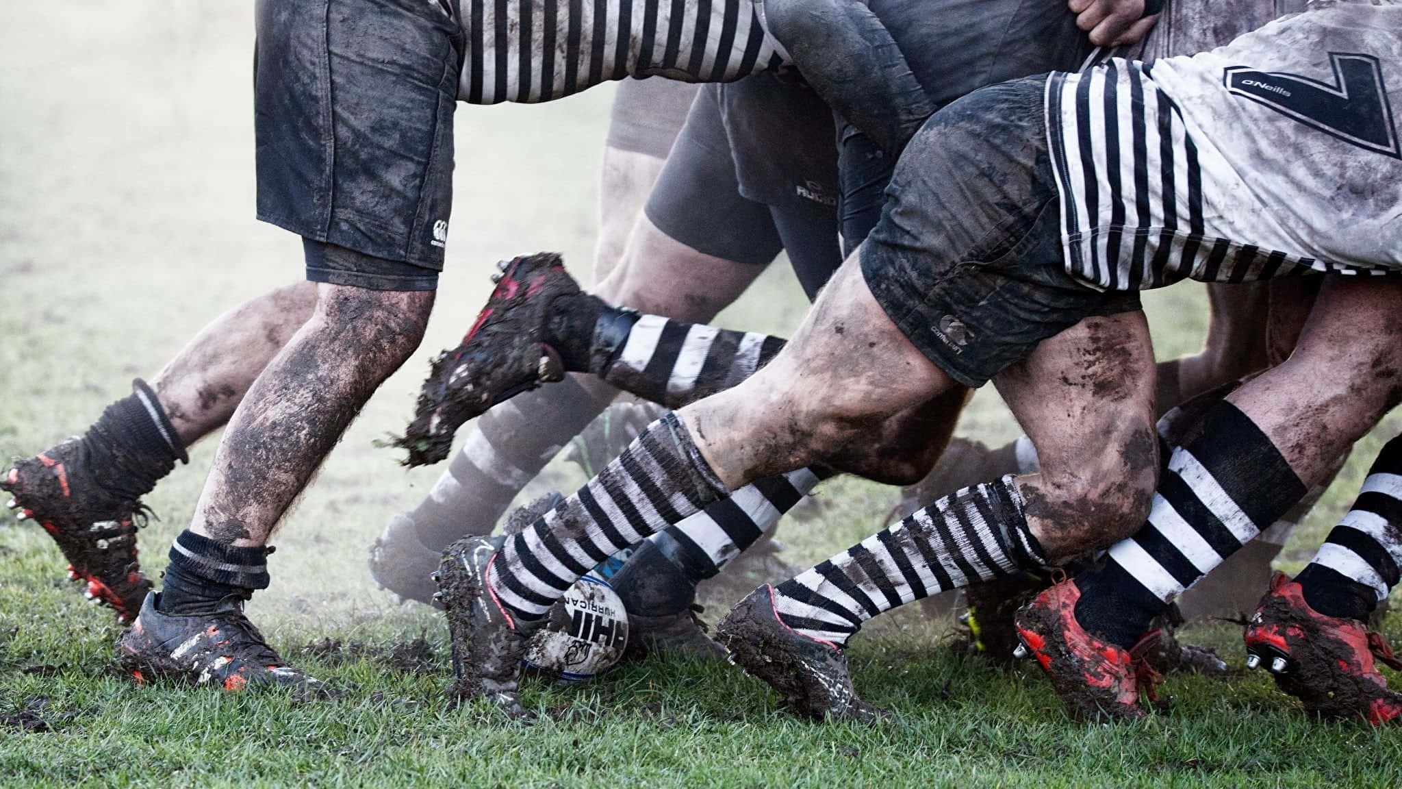 Rugby 桌布 壁紙 — 欖球運動員身穿泥濘球衣，在草地上激烈的爭球中奮力纏鬥。